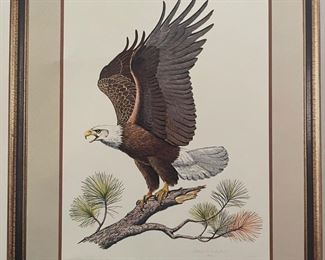 _____$110 	
Albert Earl Gilbert Audubon 24x31 The Bald Eagle