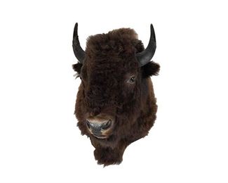 Bison Wall Mount Display