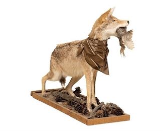 Coyote Full Body Mount