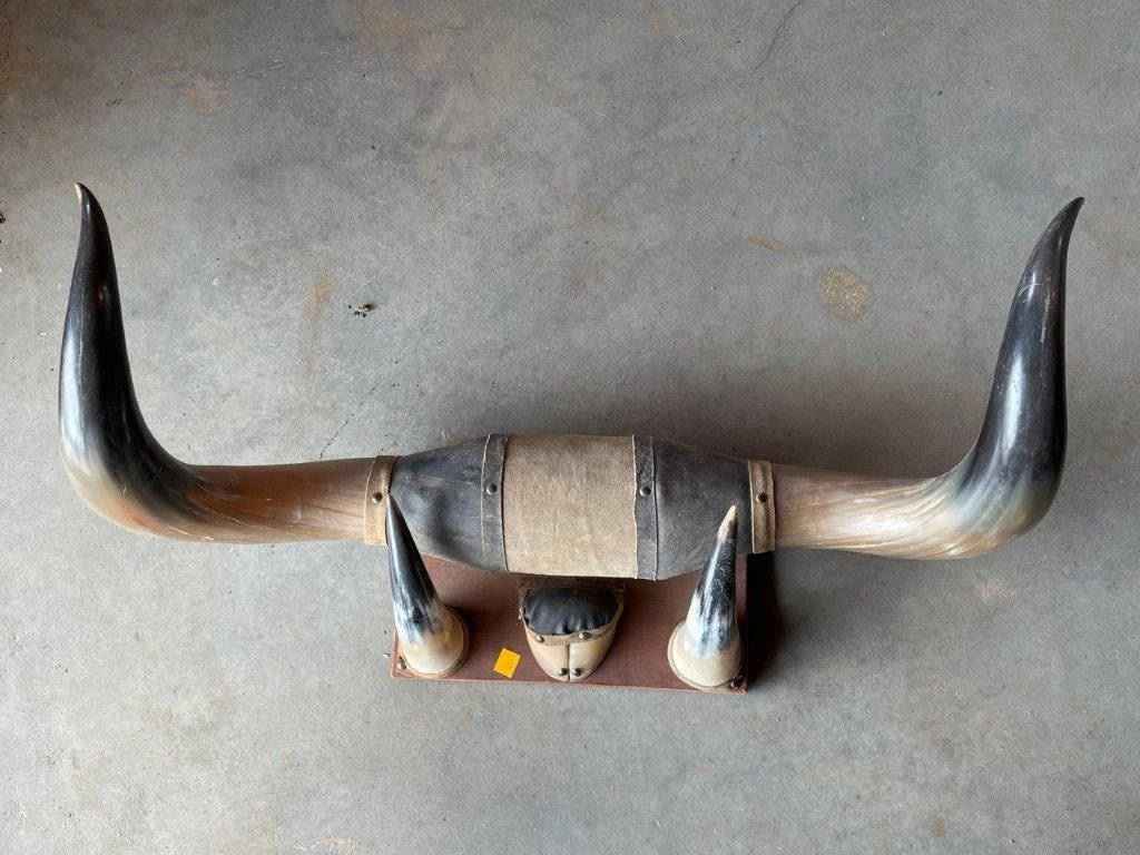 04/25/23 Acorn Estate Liquidators at Mineral,... starts on 4/21/2023