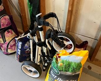 golf caddy