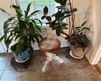 Antique plant stand and plants
