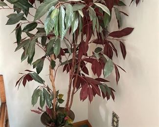 Brass Cuspidor and "Forever" Plant