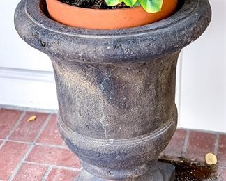 Potted Plant