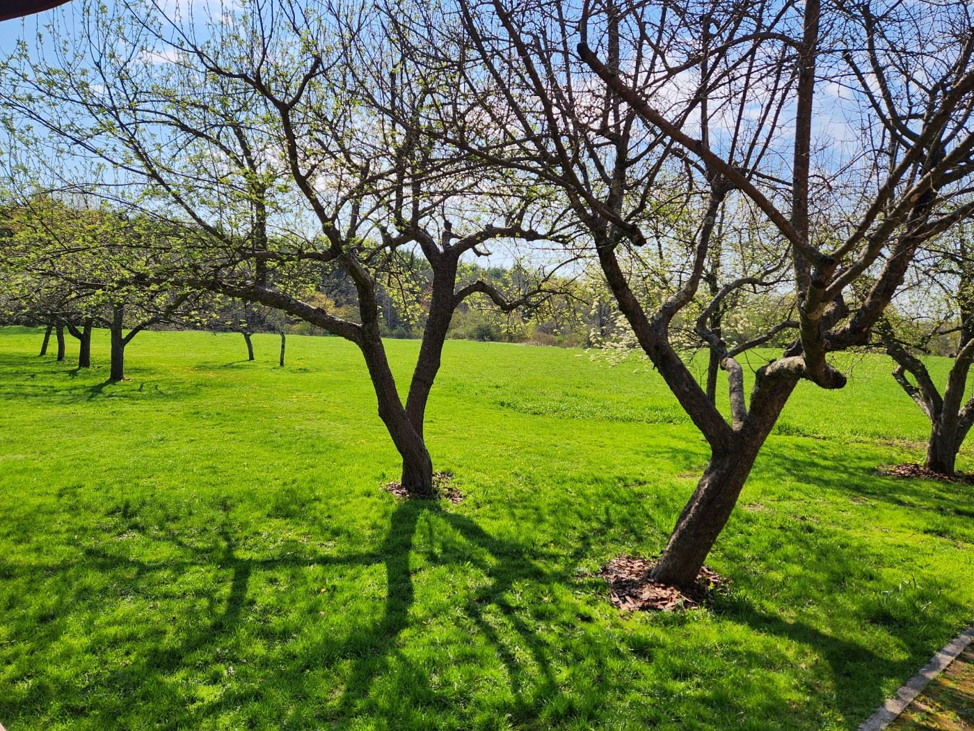 Mid Century Marvelous Estate Sale in Great Barrington, MA starts on 4