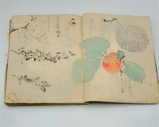 Meiji Period Japanese Sketch Books with Hand Drawn & Colored Illustrations