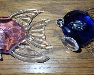 GLASS FISH