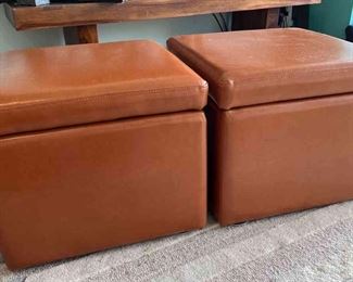 Pair of Safavieh Storage Cubes
