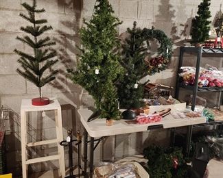 Nice variety of smaller Xmas trees 