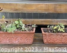 wtwo ornately detailed square clayterracotta planters with live plants1231 t