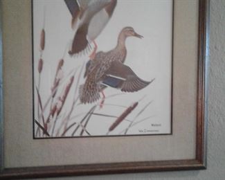 DUCK PRINT MALLARD BY WM ZIMMERMAN