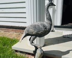 Another peacock...come and meet the real one strolling the grounds...