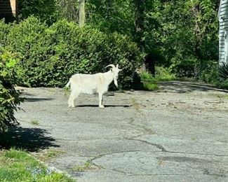 Looking forward to seeing you at the estate sale!