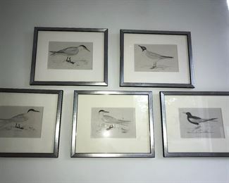 Set of antique prints bought in Nantucket, Mass