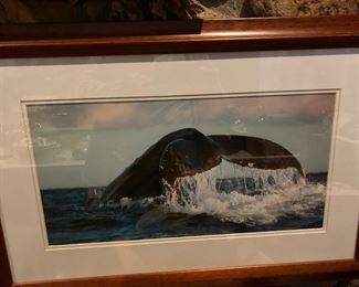 “Graceful Dive” Artist: Monica and Michael Sweet 