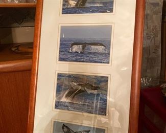 “Breaching Kauai”, “Gentle Dive”, “Here She Goes”, “Slapping Take” Artist: Monica and Michael Sweet