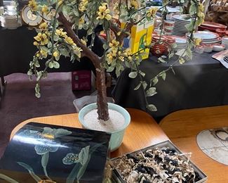 Asian Jade Tree, Very Large Heavy Jade Tree, 