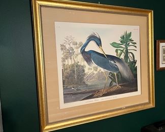 Audubon No.44 Louisiana Heron