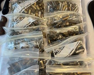 Empty Ammo Cartridges 