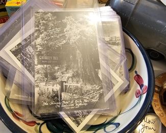 Postcards-Retro-Redwood forest, Calif. Etc.