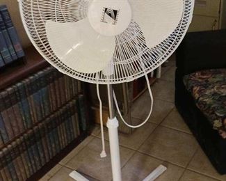 Oscillating fan