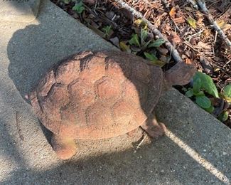 Another Concrete Turtle