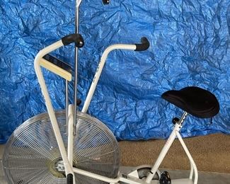 Schwinn Airdyne Exercise Bike