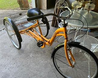 Adult Tricycle