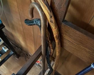 Walking stick collection