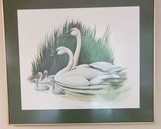 RAY HARM signed & numbered print