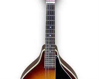 Vintage Ariana Japanese Made Mandolin w/ A Sunburst Finish and A HardShell Carrying Case - Model/Make is unknown. Mandolin appears to be in greaT cosmetic condition and appears to be playable! See photos for conditions! 

