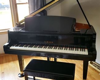 Yamaha Baby Grand Piano! 