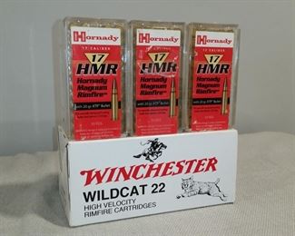 Rimfire ammo