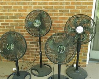 Assorted pedestal fans