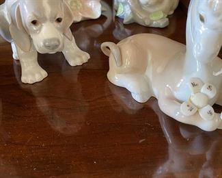 Cute Puppy, Donkey in Love, Bunny, Bird