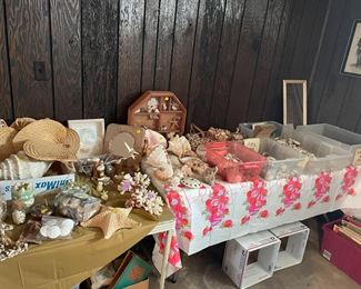Tons of vintage shells, Conchs, StarFish