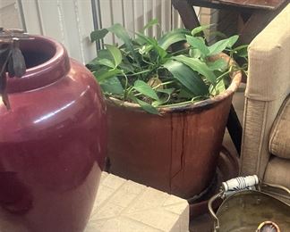 Large planters; live plant; coal scuttle