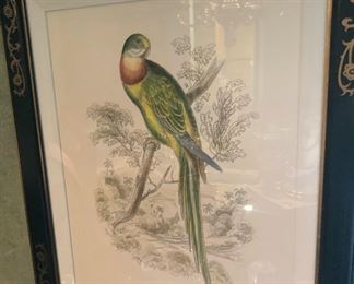 Another framed bird