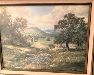 Another bluebonnet picture