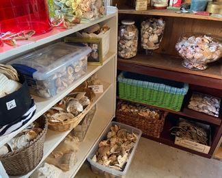 Numerous shelves of large (and small) sea shells. Also, every shelving unit, crate and cupboard in the house and garage are for sale