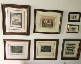 Bulldog Antique Engravings , Hand Drawn Mats w/gold Gilt Liners....