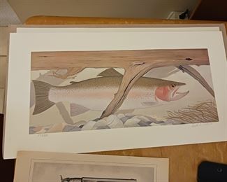 Limited edition salmon or trout drawing by David Vinton