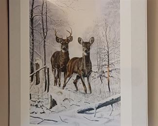 Charles Denault limited edition Wildlife loose prints $10 each