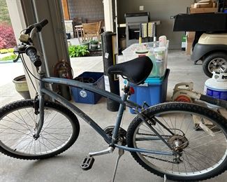 Diamondback Wildwood bike