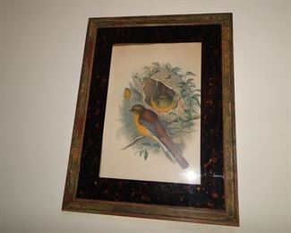Pair of framed color bird prints tortoiseshell framed matts $200 pair