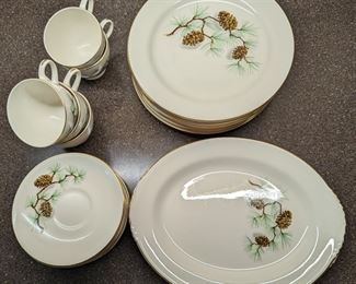 Nautilus Pine Cone China