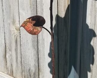 another flower that does not require watering