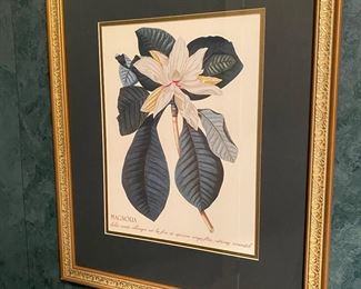 $25 - Framed Magnolia Print 2
