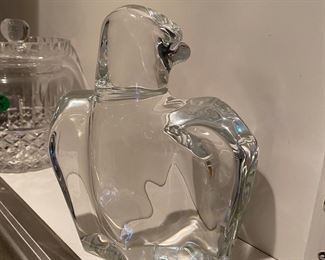 FEATURED PHOTO! DETAILS BELOW!