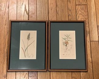 CP2 - $50 - PAIR of Botanical Prints beautifully matted and framed. 
